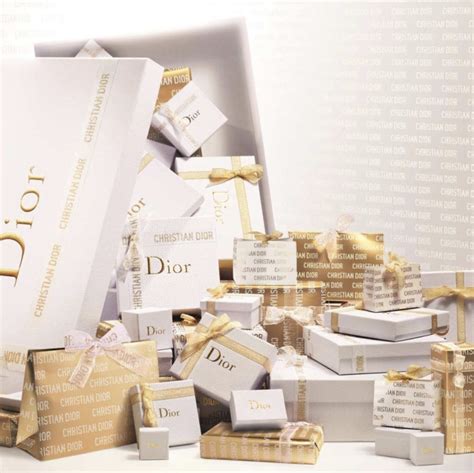 dior holiday bag